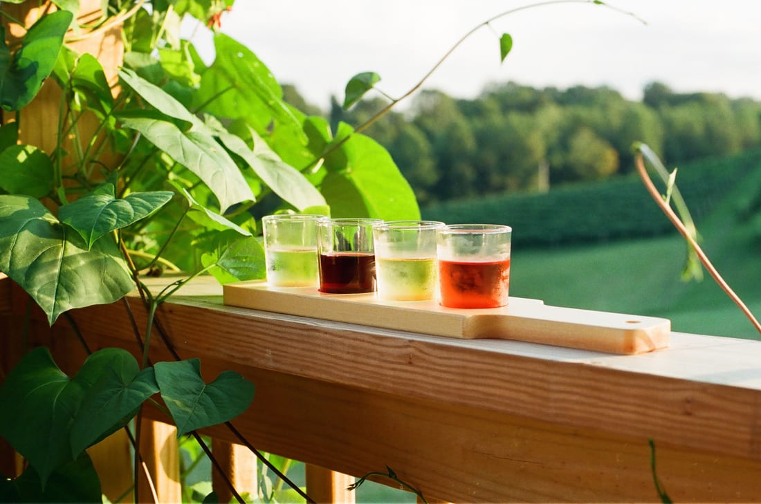 Le Petit Chevalier Vineyards