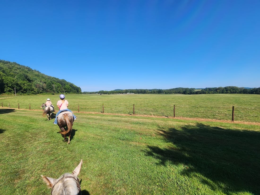 Spotted Horse Ranch